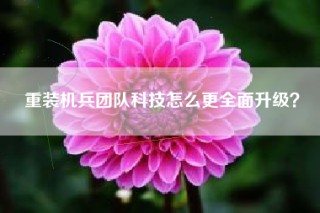 重装机兵团队科技怎么更全面升级？
