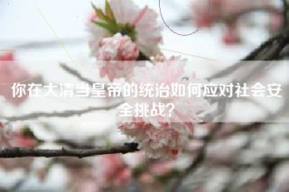你在大清当皇帝的统治如何应对社会安全挑战？