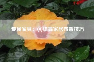 专属家具：QQ炫舞家居布置技巧