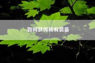 如何获得稀有装备