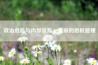 政治危机与内部反叛：皇帝的危机管理