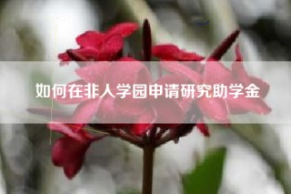如何在非人学园申请研究助学金