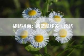 战略指南：碧蓝航线关卡攻略