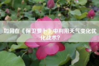 如何在《保卫萝卜》中利用天气变化优化战术？