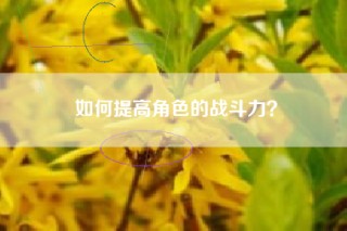 如何提高角色的战斗力？