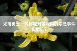光明勇士：如何应对游戏内的紧急事件和危机？