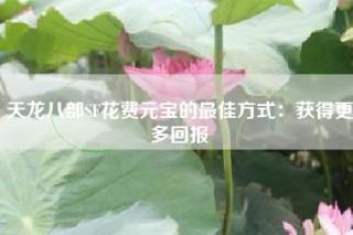 天龙八部SF花费元宝的最佳方式：获得更多回报