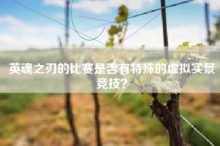 英魂之刃的比赛是否有特殊的虚拟实景竞技？