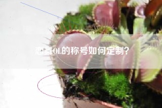 恋舞OL的称号如何定制？