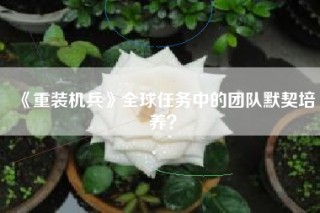 《重装机兵》全球任务中的团队默契培养？