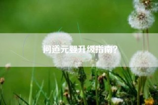 问道元婴升级指南？