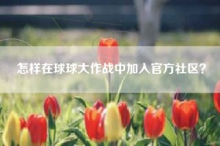 怎样在球球大作战中加入官方社区？