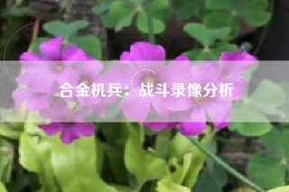 合金机兵：战斗录像分析