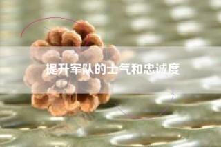 提升军队的士气和忠诚度