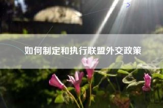 如何制定和执行联盟外交政策