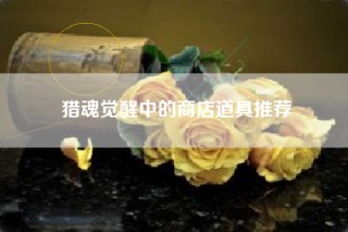 猎魂觉醒中的商店道具推荐