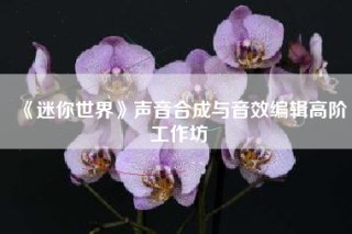 《迷你世界》声音合成与音效编辑高阶工作坊