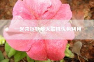 一起来捉妖多人联机优势利用