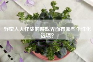 野蛮人大作战的游戏界面有哪些个性化选项？