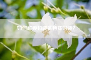 如何解锁和装备特殊时装？