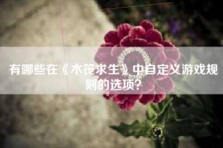 有哪些在《木筏求生》中自定义游戏规则的选项？