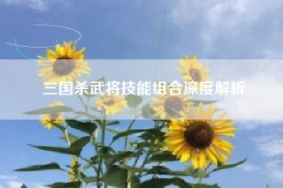 三国杀武将技能组合深度解析