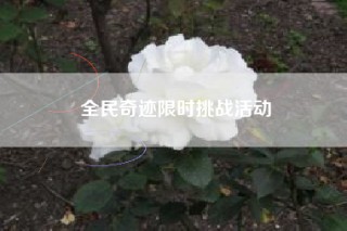 全民奇迹限时挑战活动