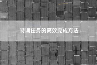 特训任务的高效完成方法