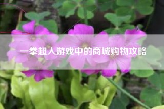 一拳超人游戏中的商城购物攻略