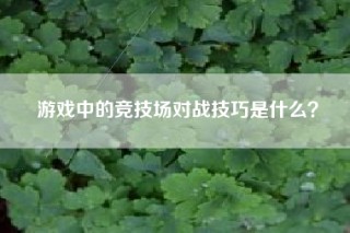游戏中的竞技场对战技巧是什么？