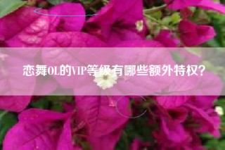 恋舞OL的VIP等级有哪些额外特权？