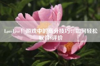 LoveLive！游戏中的高分技巧：如何轻松取得S评价