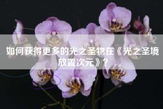 如何获得更多的光之圣物在《光之圣境放置次元》？