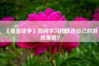 《皇室战争》如何学习和改进自己的游戏策略？