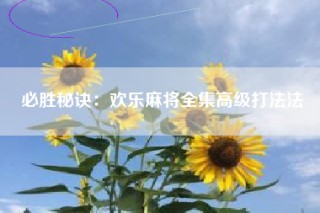 必胜秘诀：欢乐麻将全集高级打法法