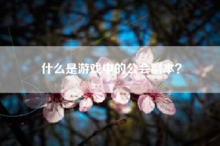 什么是游戏中的公会副本？