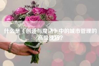 什么是《创造与魔法》中的城市管理的高级技巧？