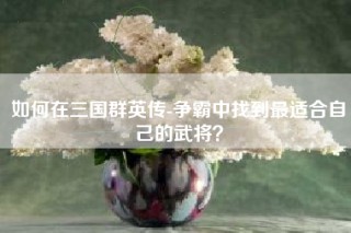 如何在三国群英传-争霸中找到最适合自己的武将？