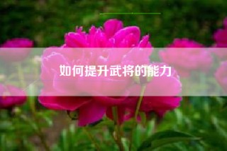 如何提升武将的能力