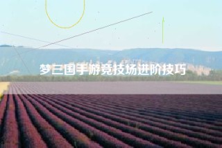 梦三国手游竞技场进阶技巧