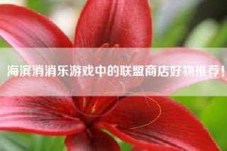 海滨消消乐游戏中的联盟商店好物推荐！