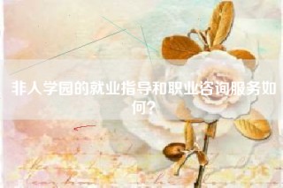 非人学园的就业指导和职业咨询服务如何？