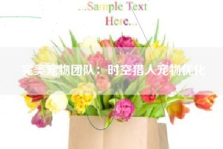 完美宠物团队：时空猎人宠物优化