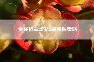 全民枪战2的高级团队策略