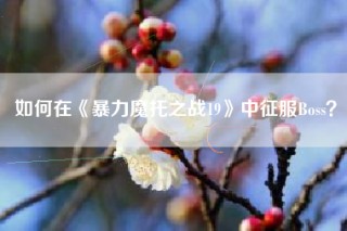 如何在《暴力魔托之战19》中征服Boss？