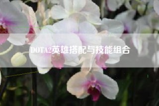 DOTA2英雄搭配与技能组合