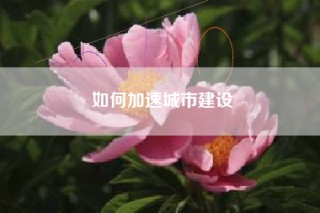 如何加速城市建设
