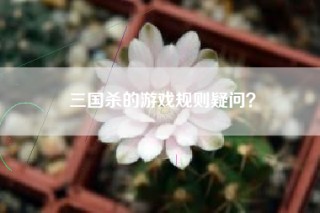 三国杀的游戏规则疑问？
