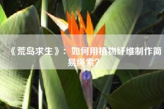 《荒岛求生》：如何用植物纤维制作简易绳索？