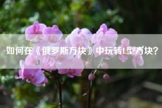 如何在《俄罗斯方块》中玩转L型方块？